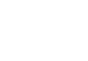 a white and black logo with a lion