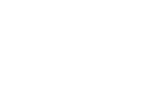 a white lion with a black background